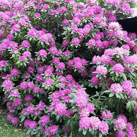 L'envie D'ailleurs *